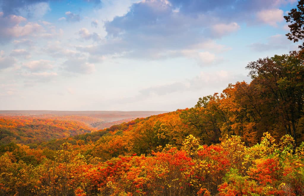 The Best Indiana Fall Foliage Destinations ABC Auto Van & RV Rental